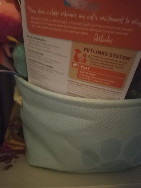 Adorable paw print design