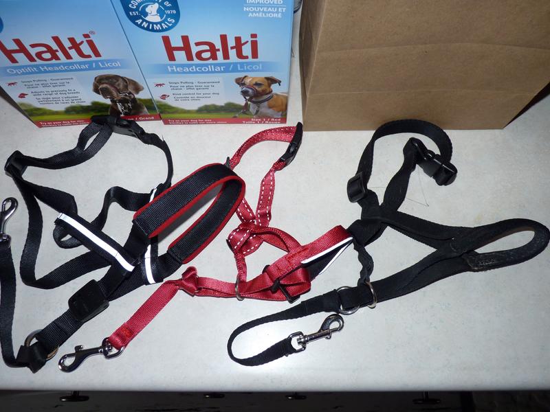 Halti optifit hotsell headcollar for dogs