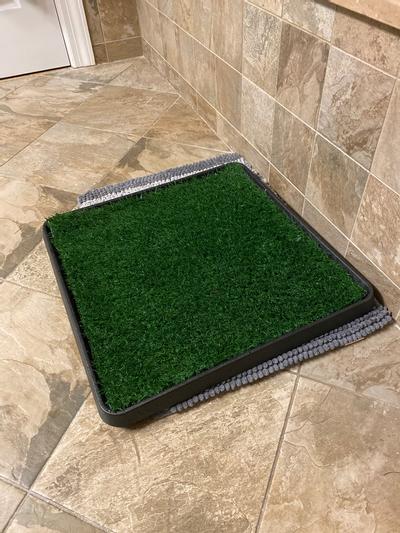 Chewy clearance grass pad