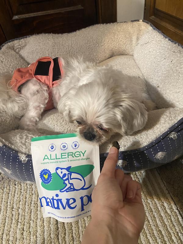 So good, my dog couldn’t get enough