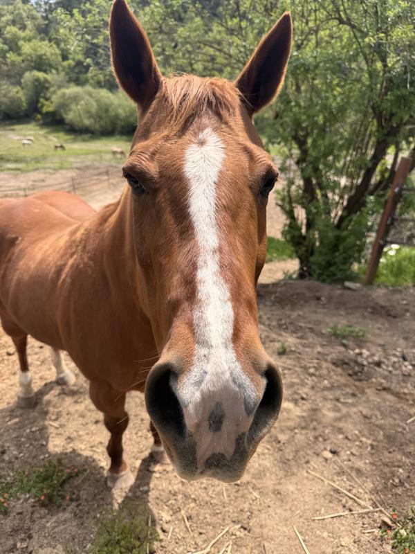 Happy to see her grain