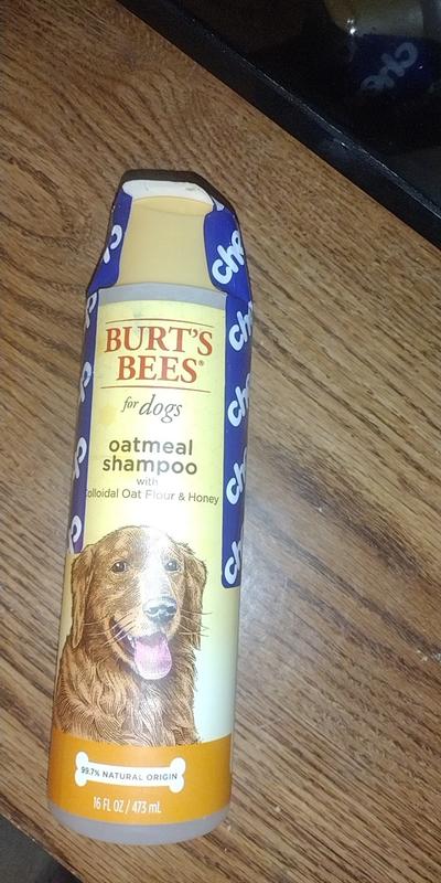 Burt's bees 2024 oatmeal shampoo