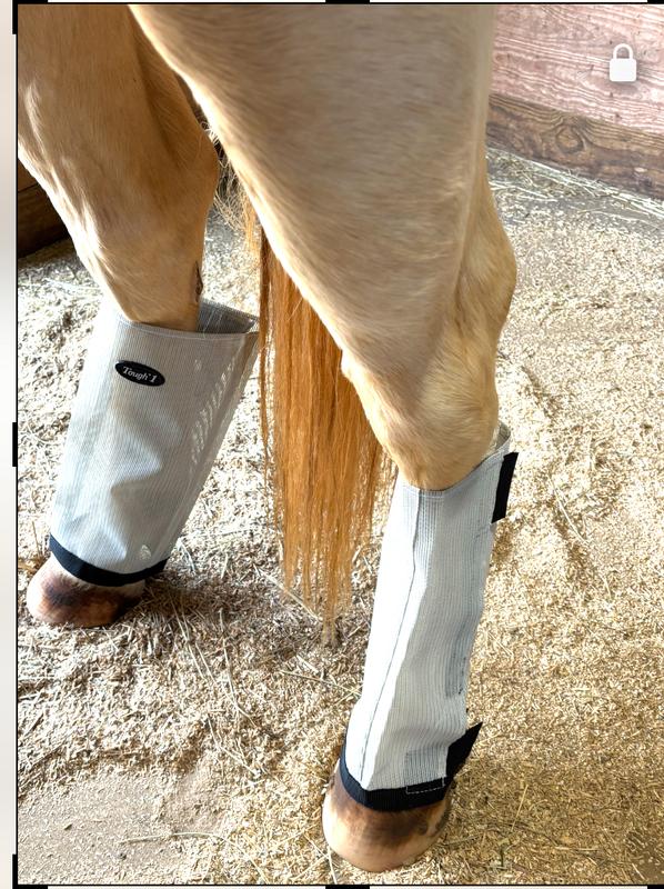 TOUGH1 Open Top Bug Barrier Horse Fly Boots, Grey, Grey, Horse - Chewy.com