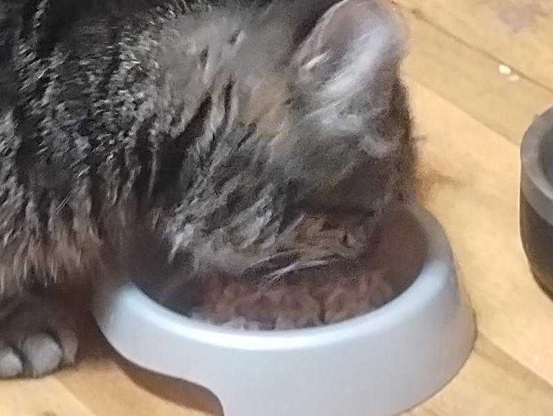 Num num num
