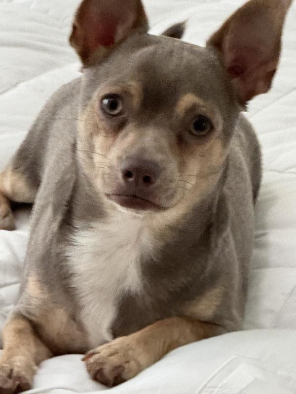 She’s beautiful and has a heart to match