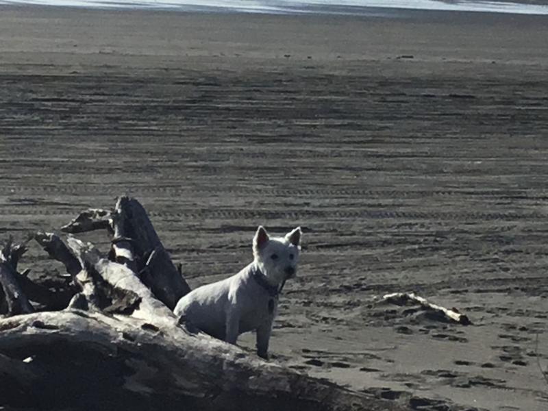 Where I’d rather be!