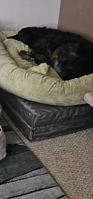 Hardly a stand alone dog bed