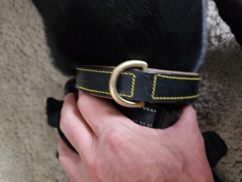 SOFT TOUCH COLLARS Leather TwoTone Padded Dog Collar, Brown Pink