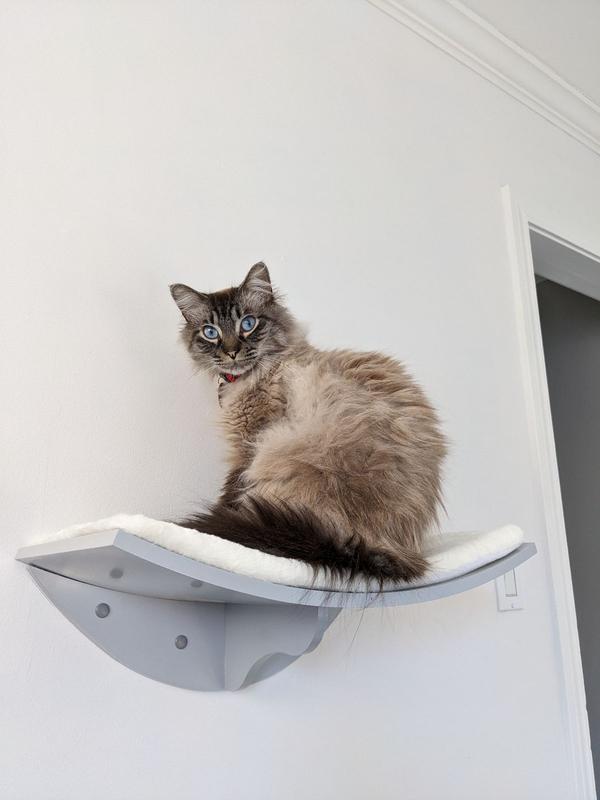 TRIXIE Lea Wall Mounted Cat Bed, XLarge, Gray