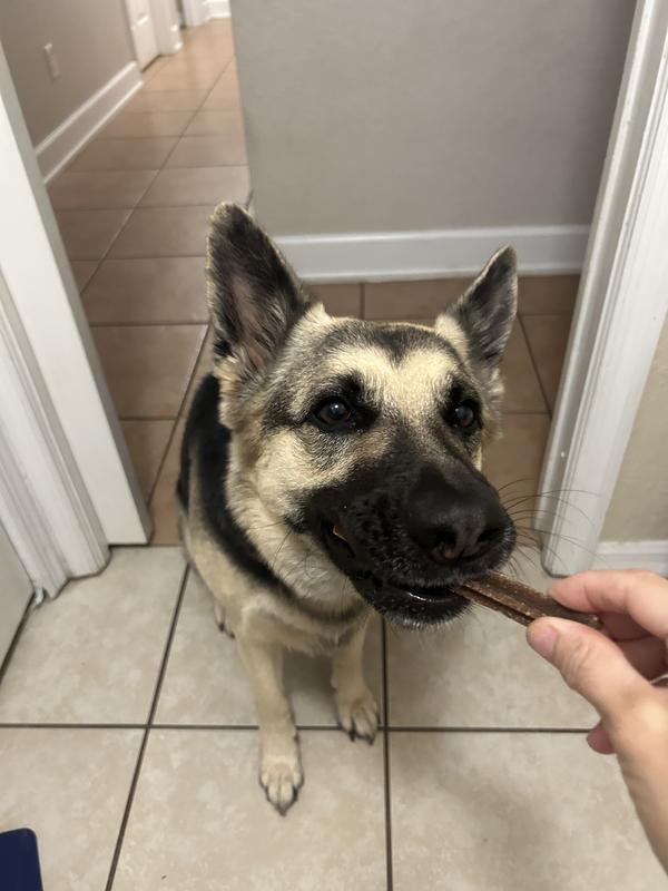 My pet loves dental chew dog treats