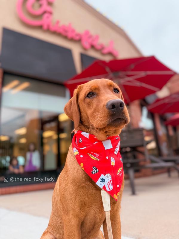 The perfect banana for CFA lovers!