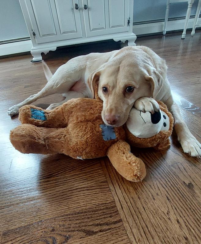 She guards it, so Bella other dog we have doesn't steel it.