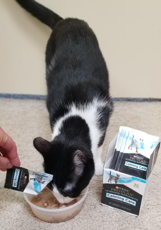 I feed my cat one packet of Purina Pro Plan Veterinary Supplements Calming Care Probiotics daily.
