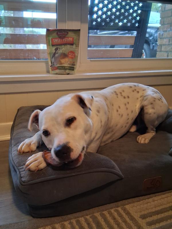 Casper munching on his sweet potato