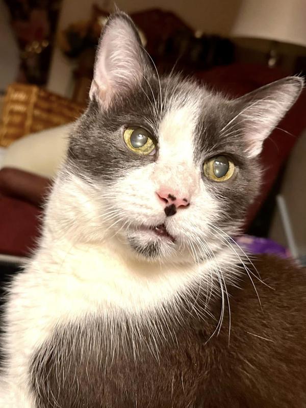 Just an old best friend