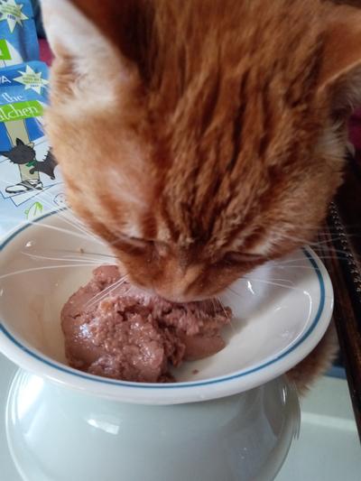 Absolutely delicious food and fresh