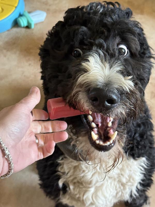 The look on his face was hilarious