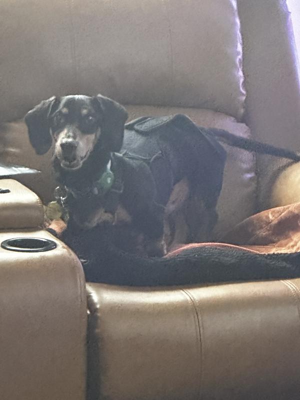 About 4-5 weeks after surgery