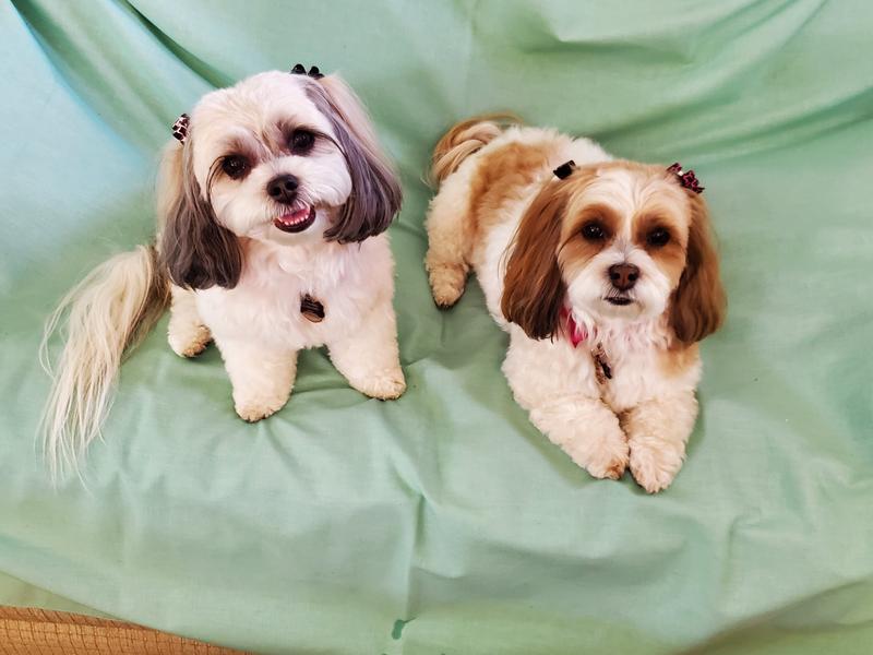 Waiting to get our braces on.