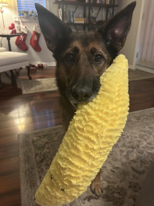 GSD for size reference