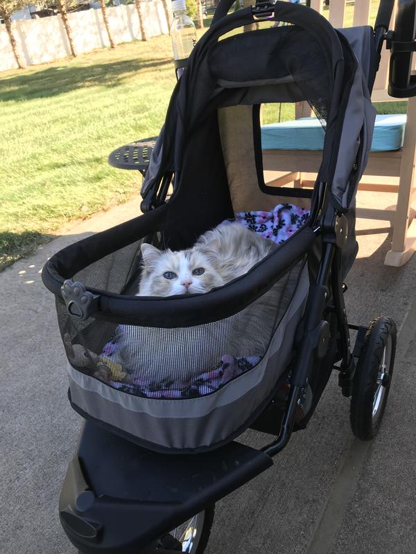 Annie out on a top open afternoon