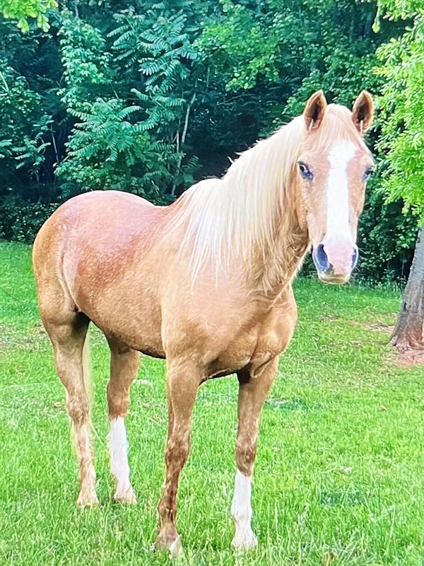 It was for “Prince Charming”