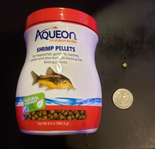 The 6.5 oz container and a single pellet next to a standard quarter for scale