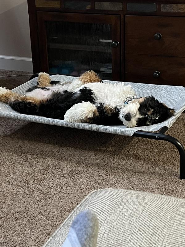 A very content relaxed puppy with a full tummy!