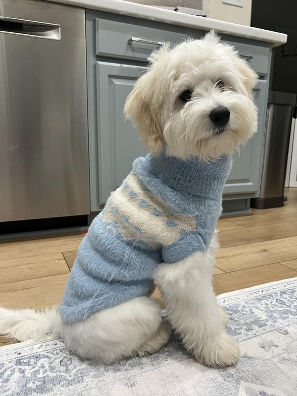dog sweater fair isle WARE OF THE DOG | Merino Wool Fairisle Floral Dog Sweater in Blue