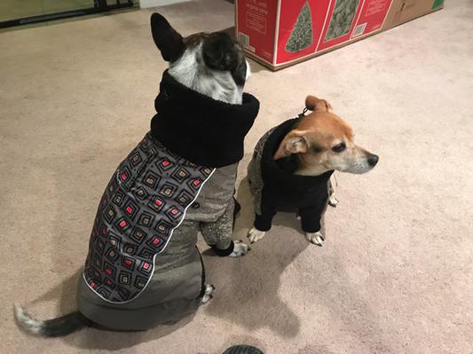 Ultra paws weathermaster outlet dog snowsuit