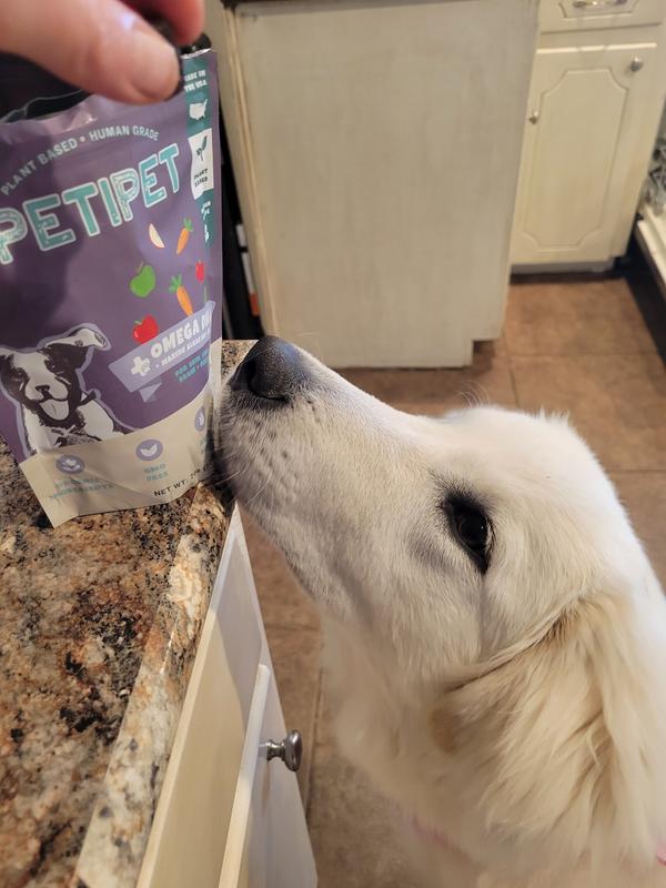 Opal wanting to see what all the fuss is about