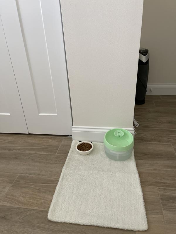 FRISCO Open Top Cat Litter Box With Rim, Large, Gray, 19in