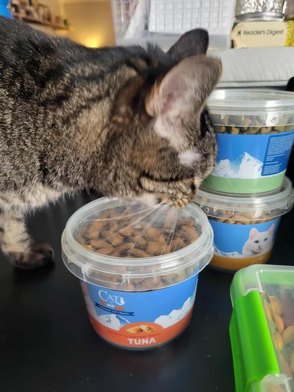 sniffing the lid trying to break in