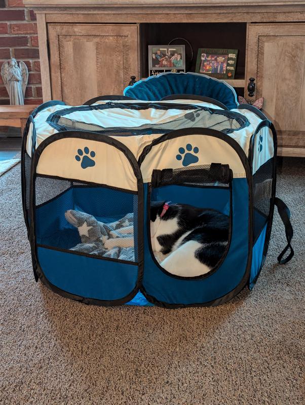 SunGrow Wooden Swing & Perch Parakeet & Budgie Ladder Bridge