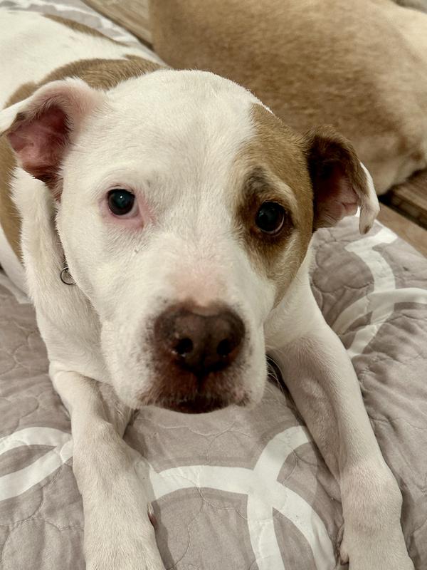 Exhibit 2 - even pickier eater