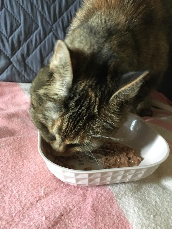 Old Goldie approved !