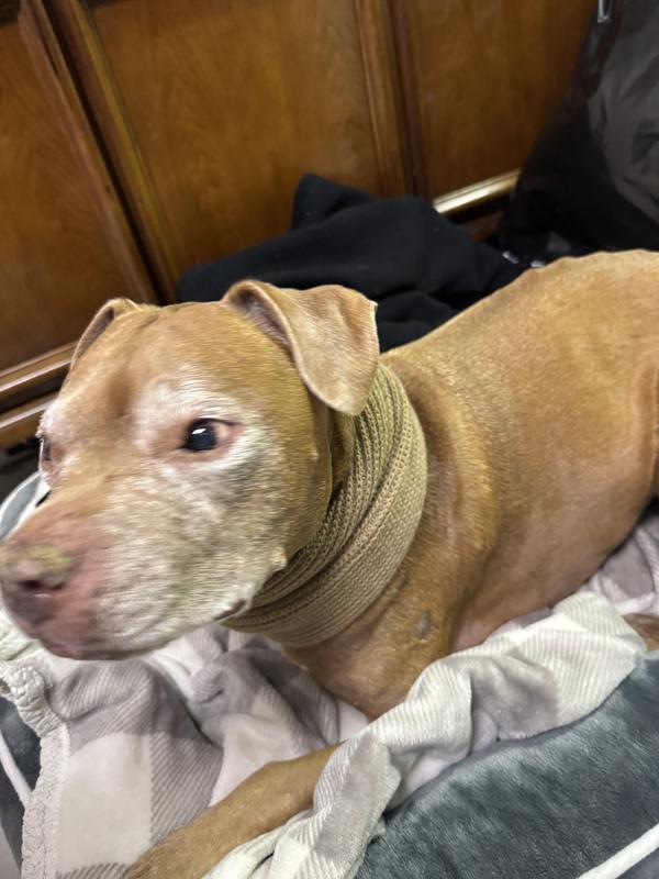 Looking good, Rubes!