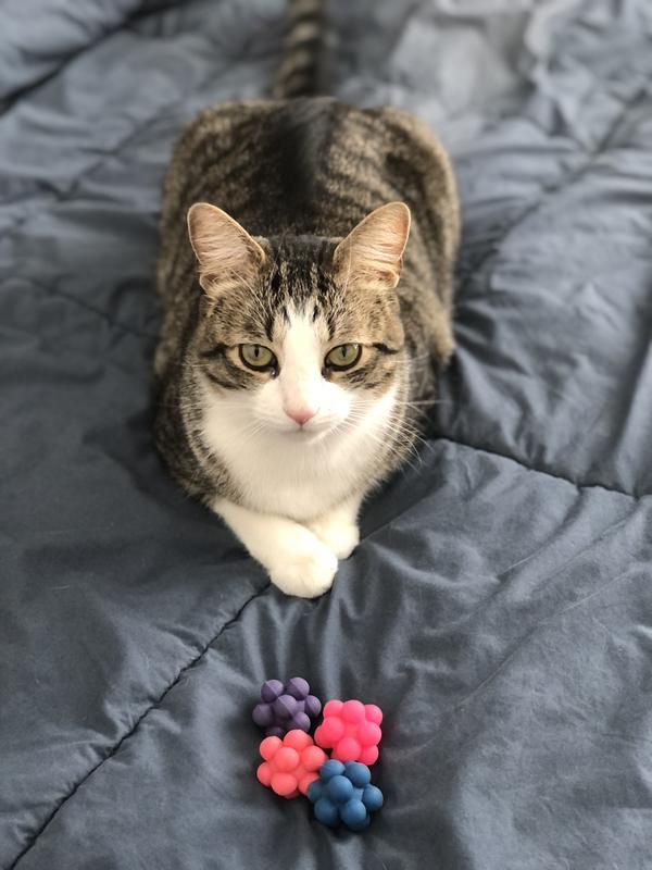 All four balls accounted for on the same day.