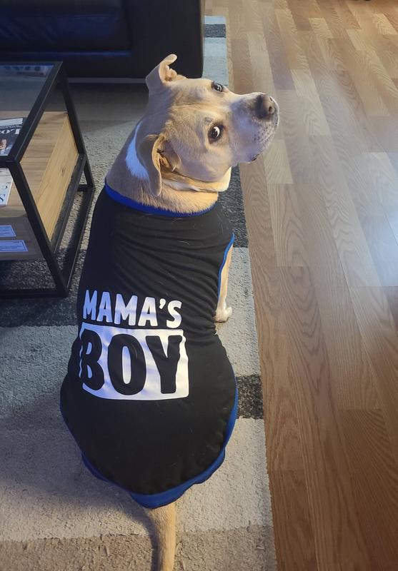 Mama's boy dog shirt best sale