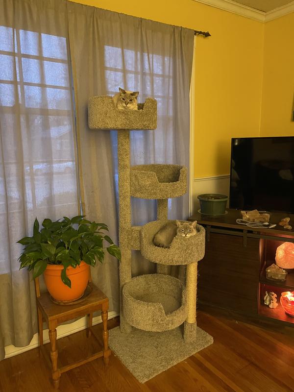Purrfect perch for our kitties