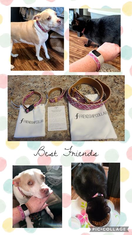 FriendshipCollar Puppy Love Dog Collar with Friendship Bracelet Large