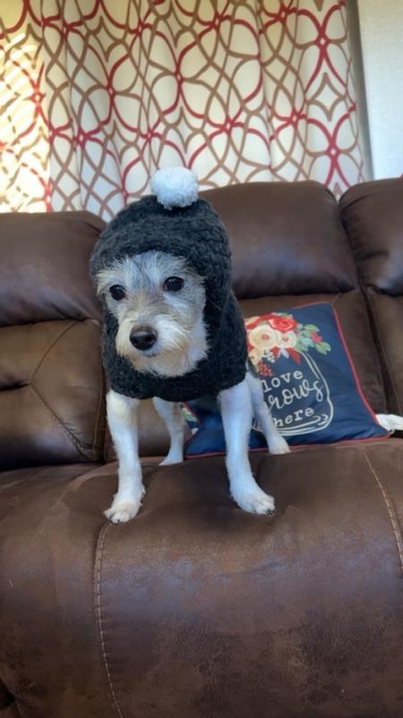 Frisco Fuzzy Heart Hooded Dog & Cat Sweater