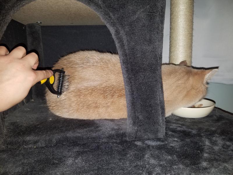 PET REPUBLIQUE Dematting Rake