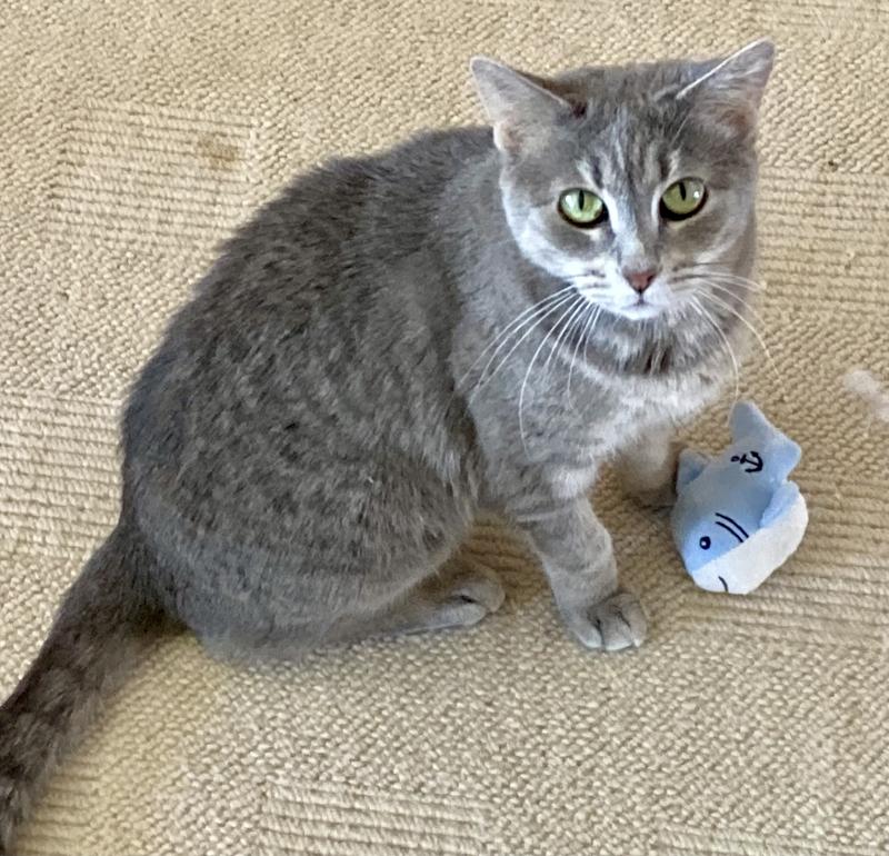 Silver likes it too