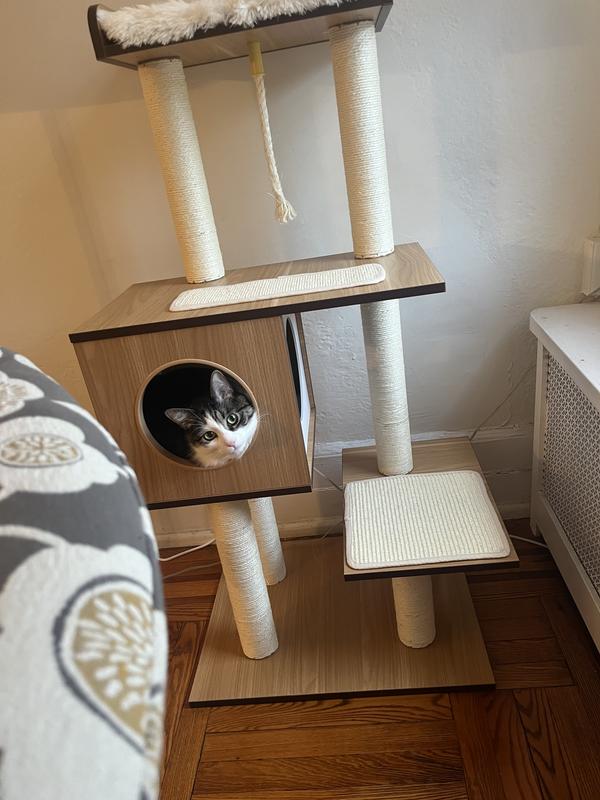 FRISCO 47.5-in Modern Cat Tree & Condo, Gray - Chewy.com