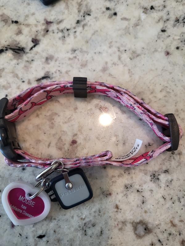 fold on inside of collar that sticks into dog's neck