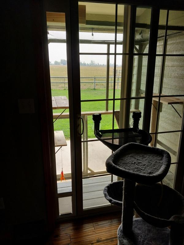 Pet door on left side