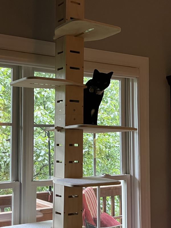 COZIWOW Floor to Ceiling Adjustable Height Cat Tree Tower, 98-114in ...