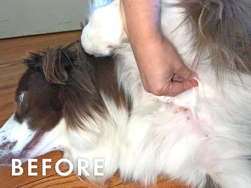 Skin Rash Two Weeks Ago