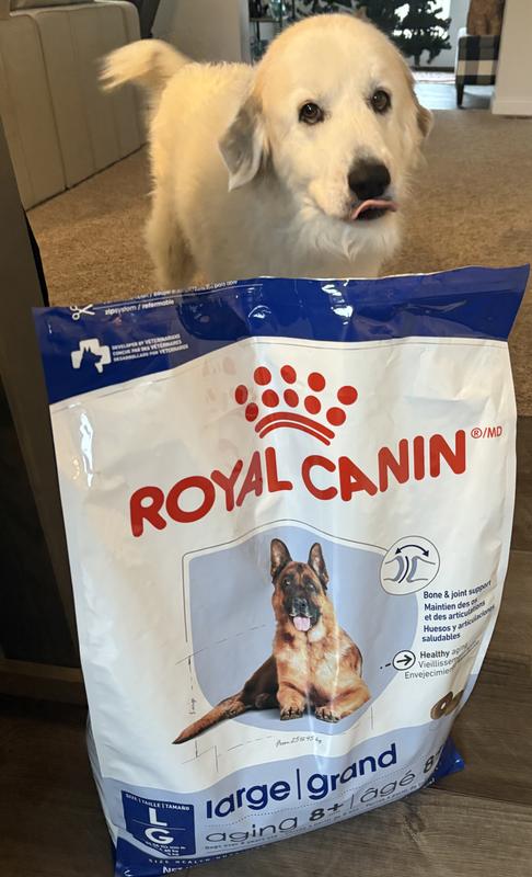 She can’t wait to open the bag!